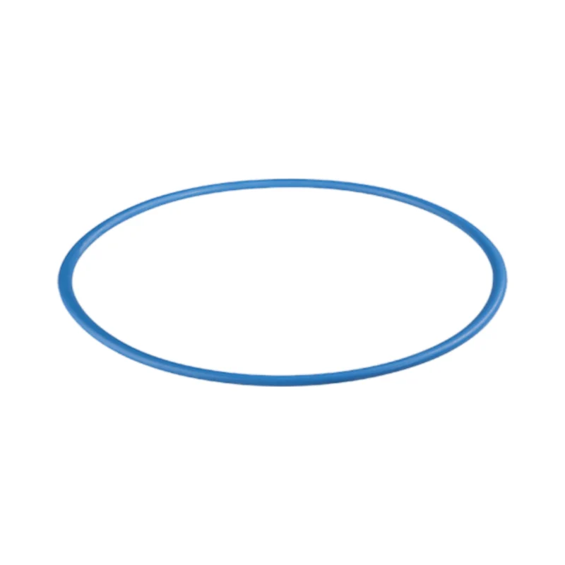 O-Ring Kit for ZEE PRO Filter Housing