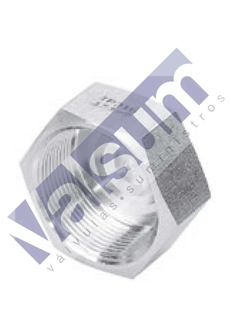 TAPON HEMBRA FIG.300 INOX