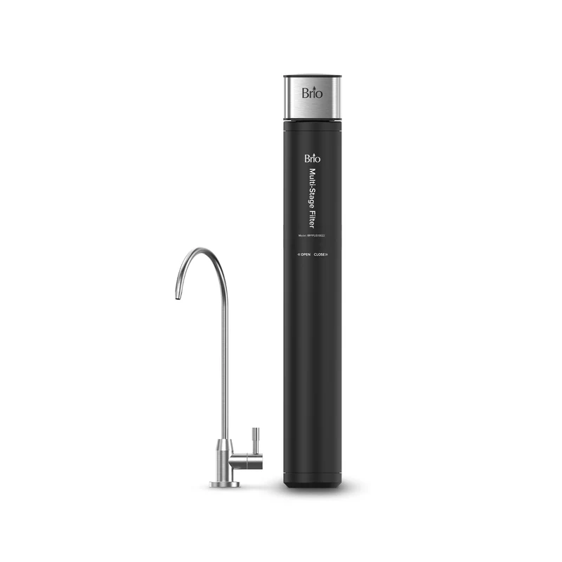 22" High Capacity All-in-One Under Sink Water Filter & Faucet